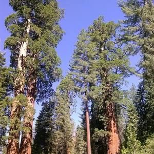 Meet your Posher, Lynne